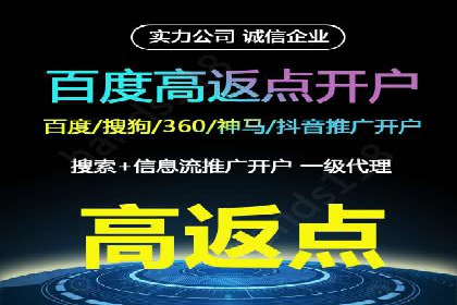 百度竞价广告案例分析：成功之道揭秘